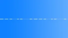 Morning Birds in the ForestSound Effect