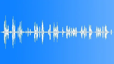 Morning Birds Singing Sound Effect