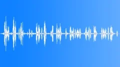 Morning Birds SingingSound Effect