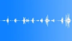 Morning Birds Sound Effect