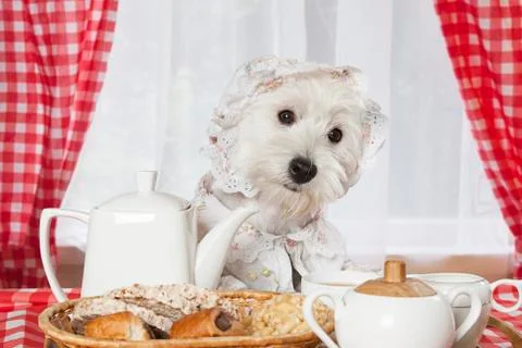 Morning breakfast Stock Photos