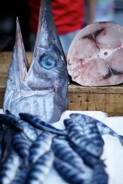 Morning catch of different types of fish on the market counter Stock Photos