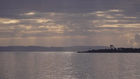 Morning at Cattle Point Stock Footage 112537097