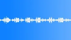 Morning Chorus Spring 3 Sound Effect