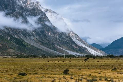 Morning cloudy mountains and meadows Stock Photos