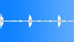 Morning Cockcrow Ambience - LoopSound Effect