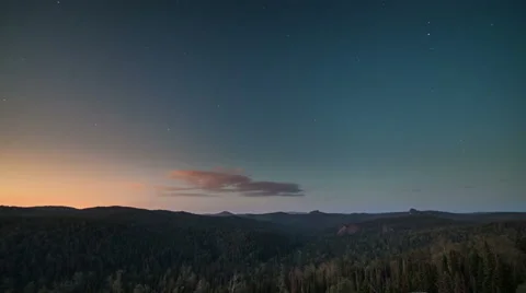 Morning coming in the forest Stock Footage 59003609