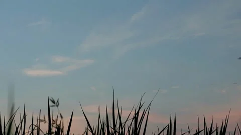 Morning Day Stock-Footage 332875187