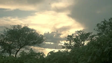 A Morning Daylight Stock Footage 315080966