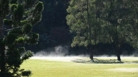 Morning dew steam in paddock 스톡 동영상 89923575