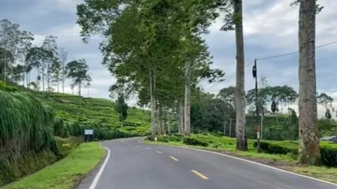 Morning drive Stock Footage 230983387