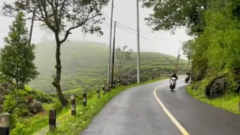 Morning drive Stock Footage 230983415
