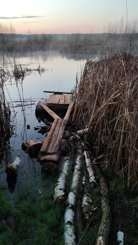Morning by the drying lake 2 Video stock 306965264