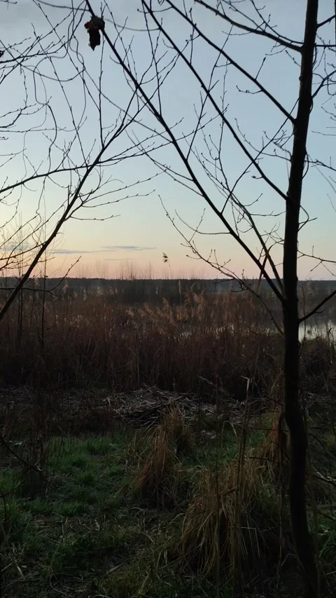Morning by a drying lake Video stock 306965340