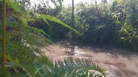 Morning on the edge of the river Stock Footage 197052759