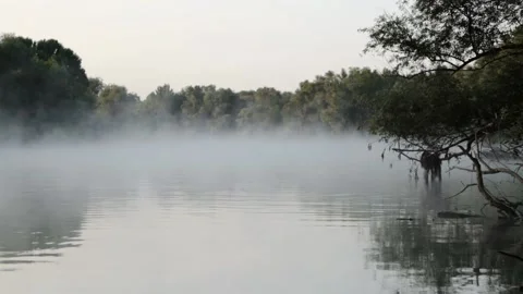 Morning evaporation of water over the river, fog over the water Stock Footage
