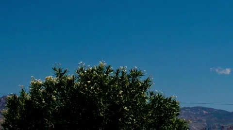 Morning event of clouds building over mountains - 3 - pan right Stock Footage