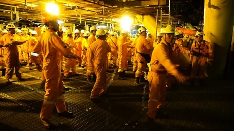 Morning exercise. Stock Footage 108414188