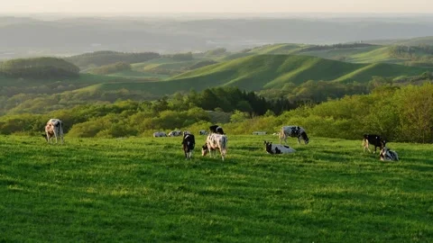 Morning on the Farm Vídeo Stock 332824923
