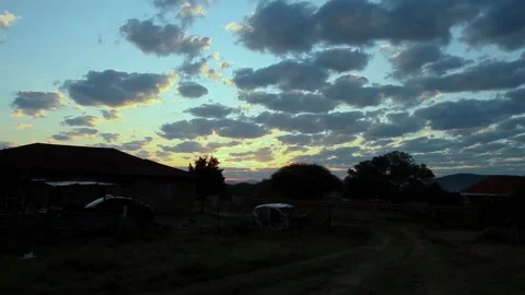 Morning feel 動画素材 196206707