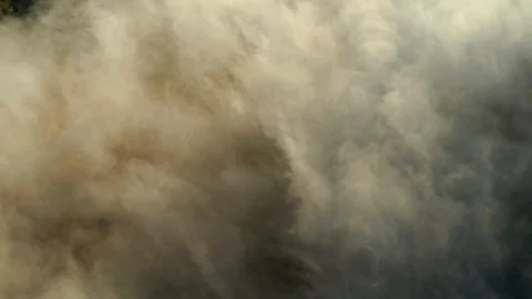 Morning fog with fall colored trees in the mountains of aerial footage Stock Footage 118338300