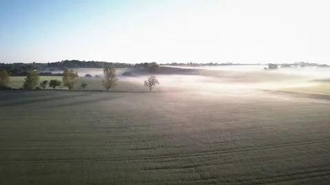 Morning Fog On The Fields Stock-Footage 76464565