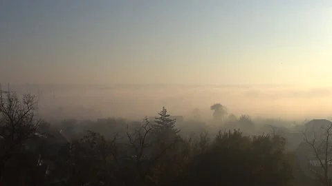 Morning in the fog Stock Footage