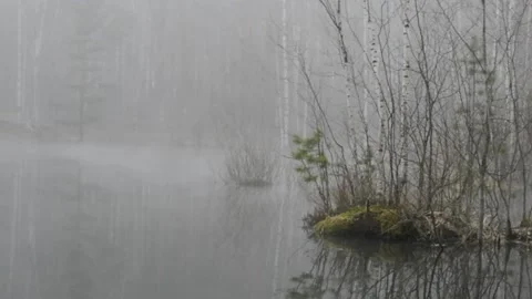 Morning. fog lake Stock Footage