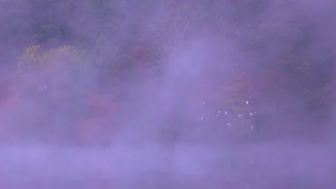 Morning fog at Lake Kinrin, Oita Prefecture, Japan Stock Footage