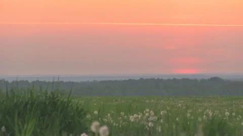 Morning Видео 11193902