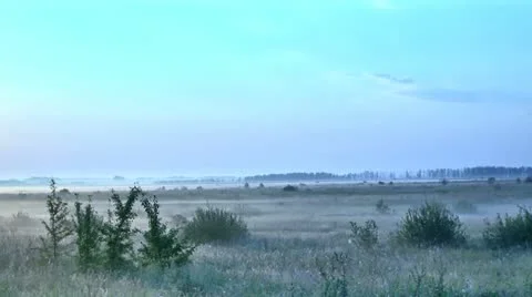 Morning Stock-Footage 11699180