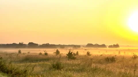 Morning Stock Footage 11699640