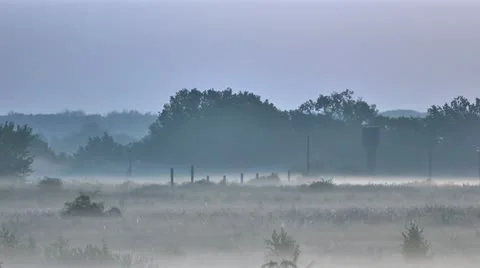 Morning Stock Footage 11700037