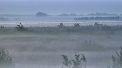 Morning Stock Footage 11700049