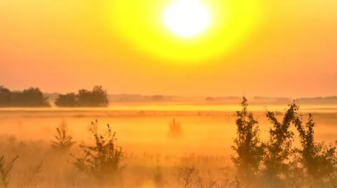 Morning Stock Footage 11700090