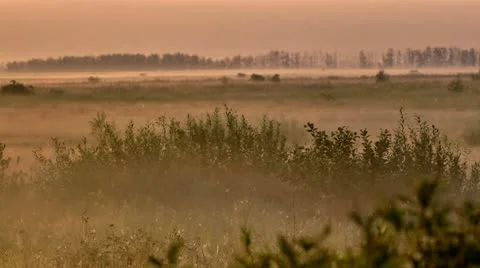 Morning Stock Footage 11700398