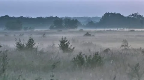 Morning Stock Footage 11700408