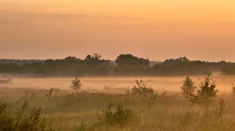 Morning Stock Footage 11700436