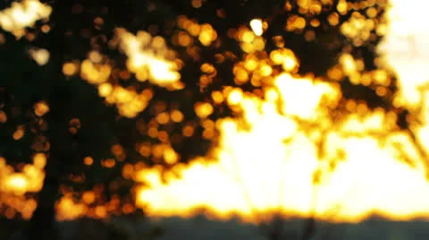 Morning Stock Footage 23461025