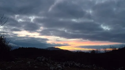 Morning Video stock 88712068