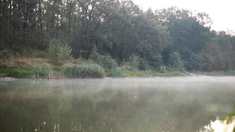 Morning 库存影片 115650536