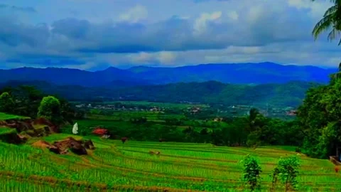 Morning 動画素材 227253371