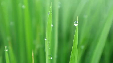 Morning Stock-Footage 332875257