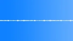 Morning in the Forest - background, ambient 03Sound Effect