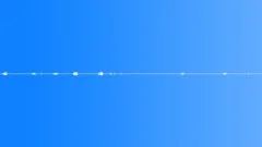 Morning in the Forest - background, ambient loop 07Sound Effect