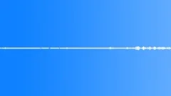 Morning in the Forest - background, ambient loop 08Sound Effect