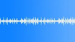 Morning Forest, Birds, Light Breeze - ambient, background loopSound Effect