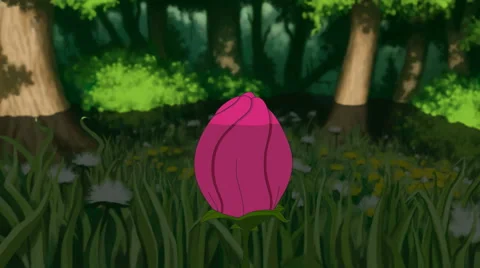 Morning in the forest 库存影片 67944617