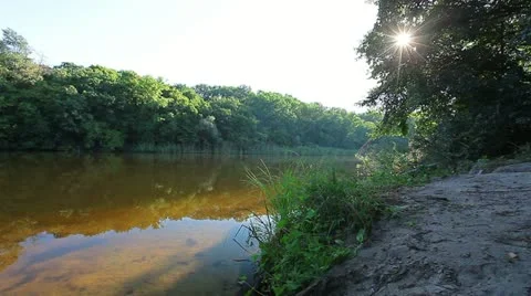 Morning - forest river Stock Footage 10836616