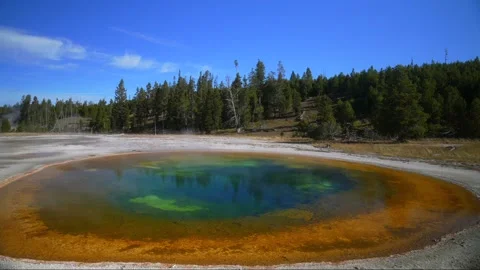 Morning Glory Opal Pool Grand Prismatic Spring Mid Geyser Basin Biscuit Basin Video stock 335966748